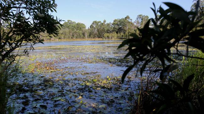 The lagoon at Scrubby Creek, near Logan, in which police found the toolbox that contained the bodies of Breton and Triscaru.