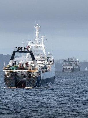 Sea Shepherd monitors super trawlers off the South Orkney Islands. Picture: Flavio Gasperini