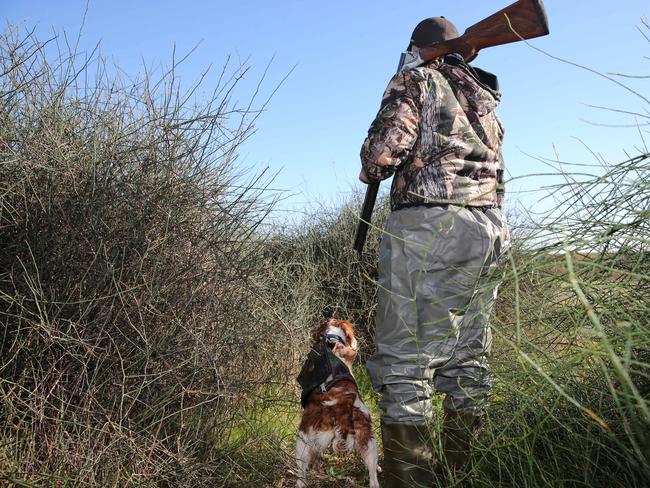 Duck-hunting limits will curb traditional lifestyle