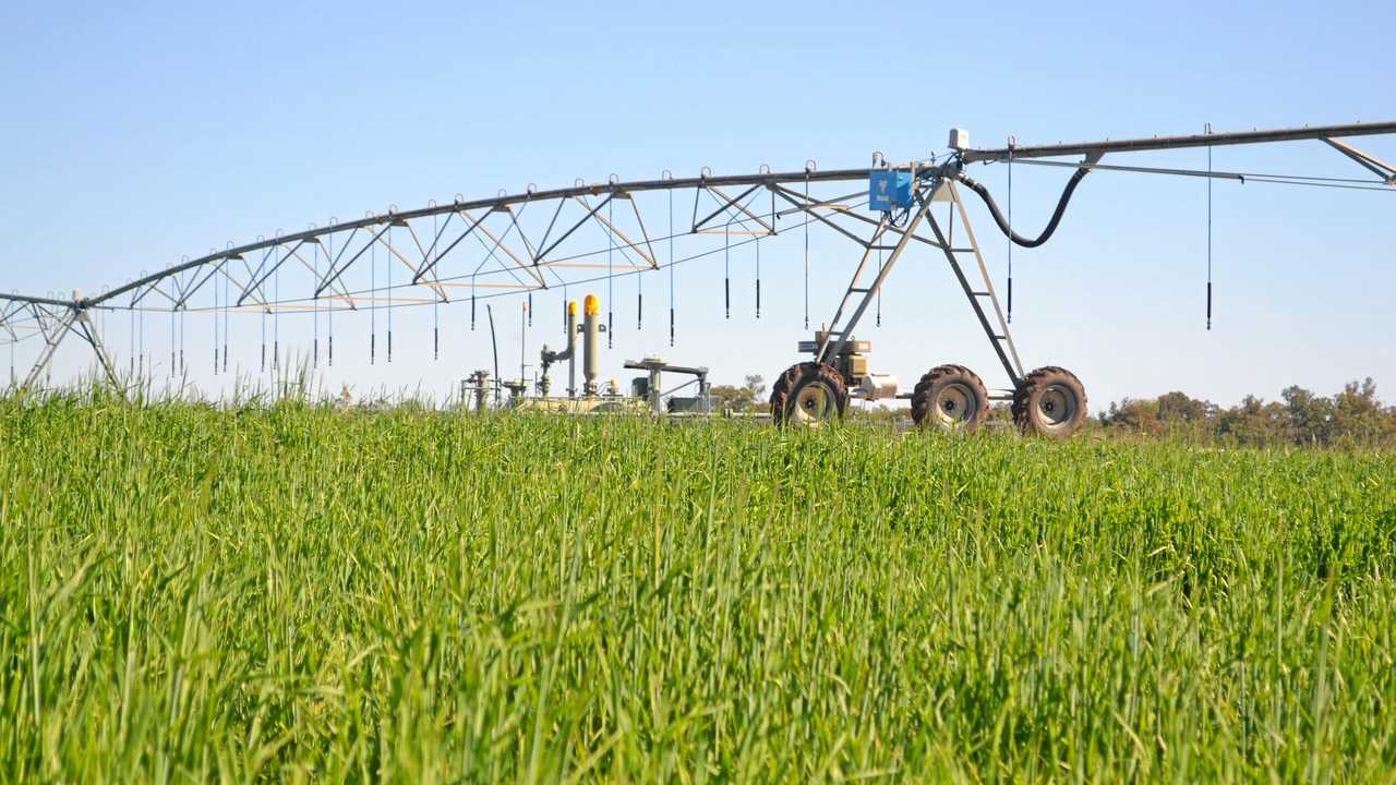 Irrigators on the Southern Downs will have more certainty in the coming years. . Picture: Derek Barry