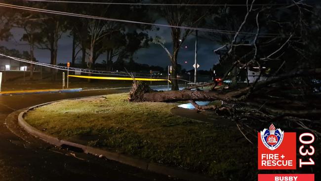 A tree has fallen on powerlines in Lurnea. Pictures: Fire and Rescue NSW