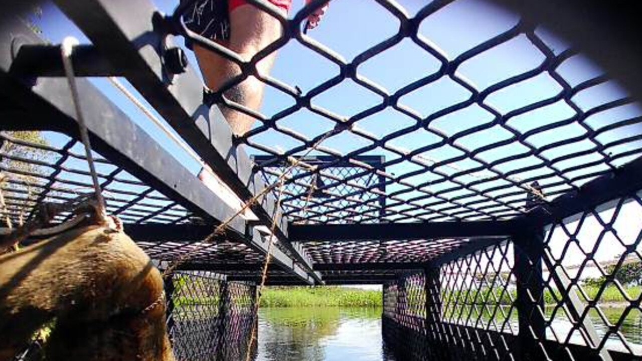 Department of Environment wildlife officers said a man standing on a croc trap was acting recklessly and could face a fine of almost $19,000. Picture: Supplied