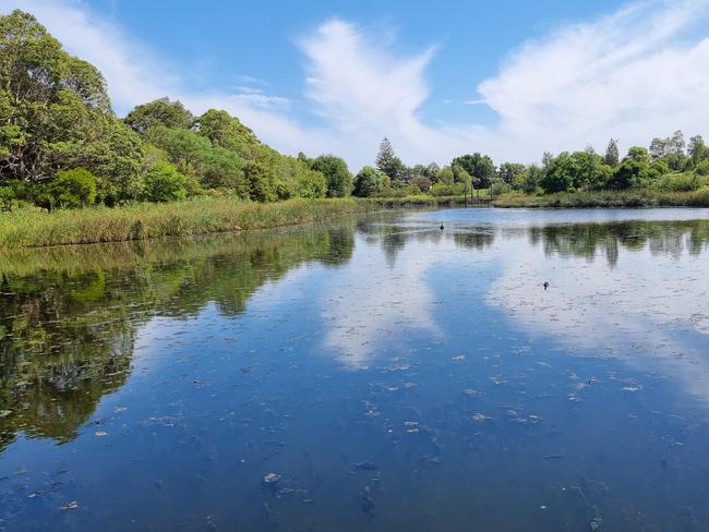 Taken at Sydney Park, 4km south of Sydney CBD. The landscapes photos show off the textures captured by the Ultra camera