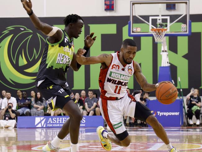 Bryce Cotton of the Wildcats drives to the basket. Picture: Getty Images