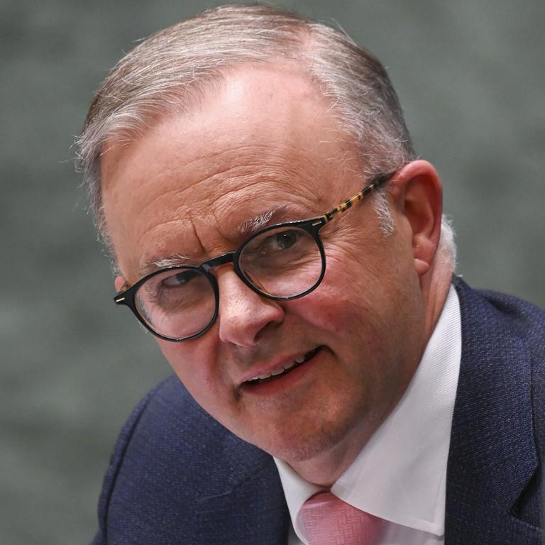 Mr Albanese announced the inquiry in late August. Picture: NCA NewsWire/Martin Ollman