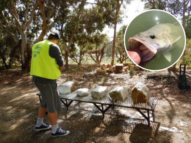 OzFish SA members preparing to drop the fish homes and structures. Picture supplied