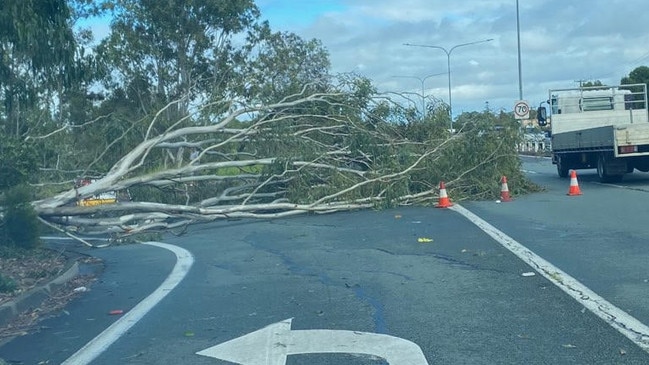 Emergency alerts have been issued for the Logan and Albert rivers with drop-in clinics open at Beenleigh's PCYC and the Cornubia Sports Centre.