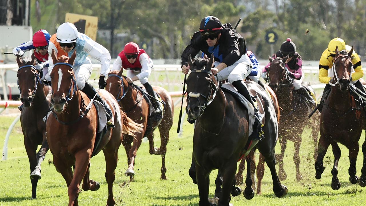Aerodrome (black) and Hereward (white) both deserve following. Picture: Jeremy Ng-Getty Images.