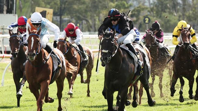 Aerodrome (black) and Hereward (white) both deserve following. Picture: Jeremy Ng-Getty Images.