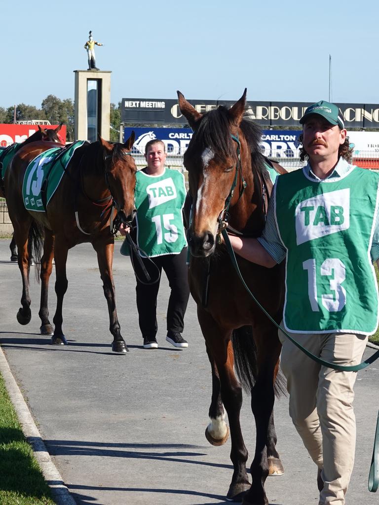 All The Glamour From The 2023 Coffs Harbour Cup Daily Telegraph