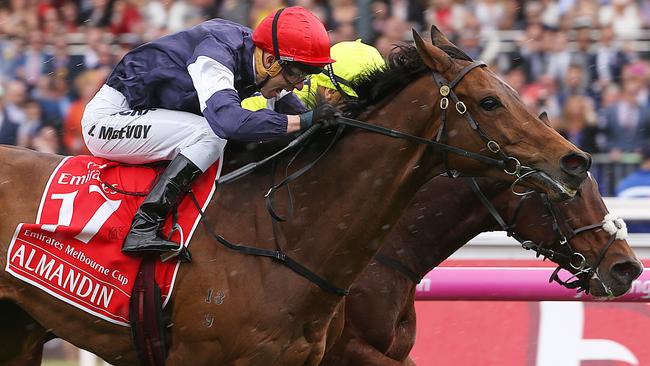 Almandin stormed to victory in last year’s Melbourne Cup and is a fancy to go back-to-back. Picture: Ian Currie