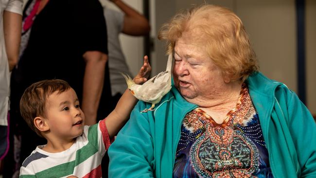 Three-year-old Hudson Tesoriero and Sharyn Lean with Chooky the cockatiel at HammondCare. Picture: MONIQUE HARMER