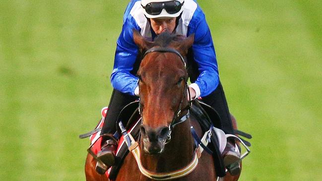 Champion mare Winx shoots for her fourth Cox Plate in Melbourne tomorrow, but there’ll be no TAB racing in Queensland for Cox Plate day. Picture: Michael Dodge/Getty