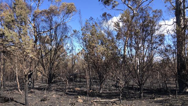 Damage from the bushfire in the Coles Bay Rd vicinity. Picture: Nikki Davis-Jones