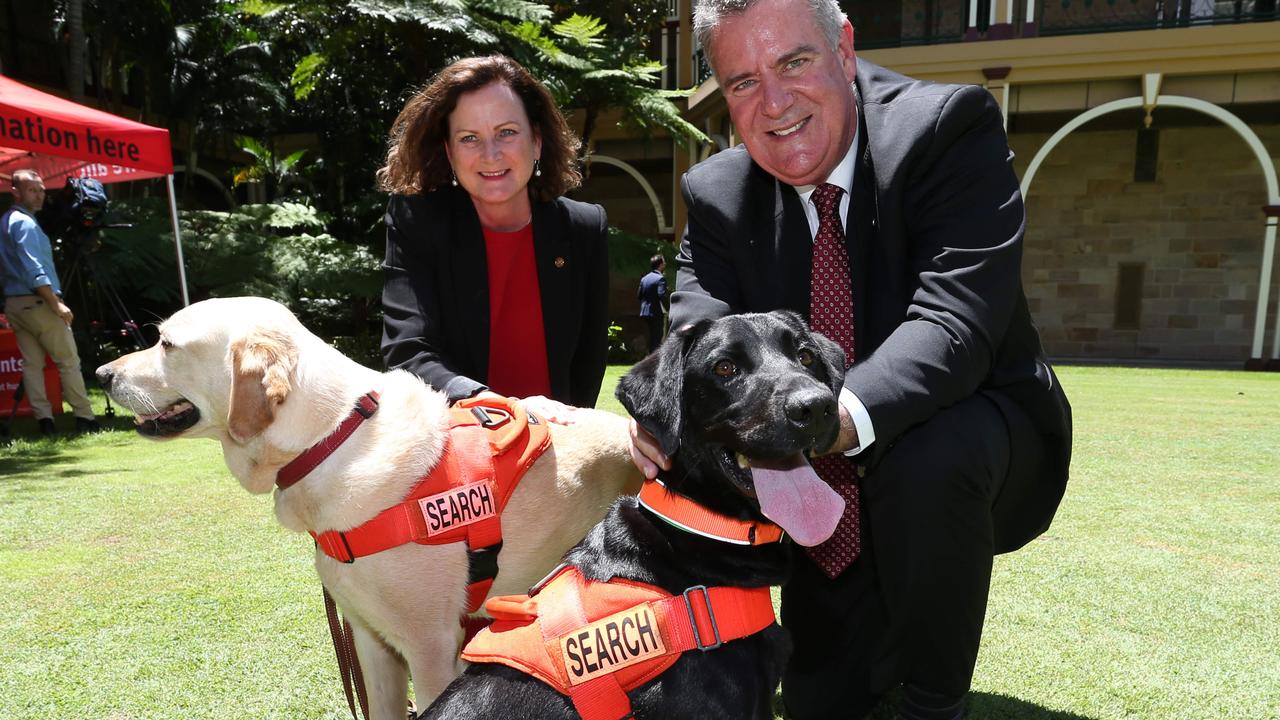 Sniffer dogs used to paws fire ant march across Logan, Ipswich | The ...