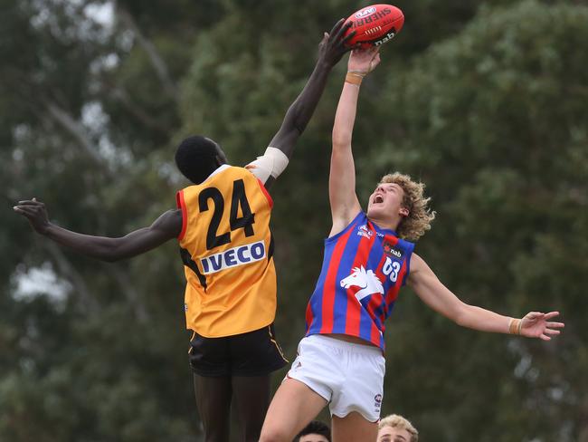 Jacob Woodfull goes up in the ruck for Oakleigh Chargers. Picture: Stuart Milligan