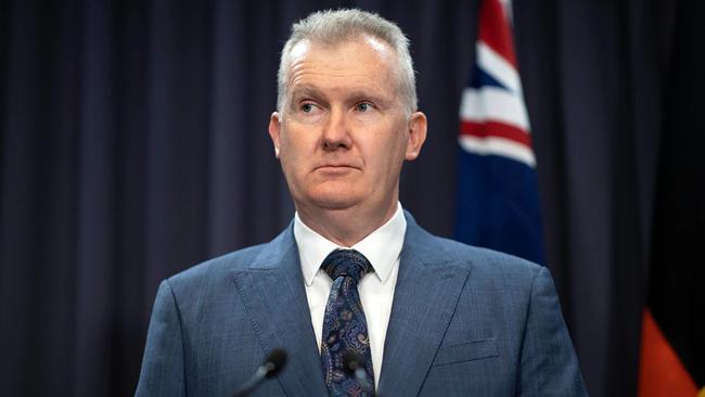 Home Affairs Minister Tony Burke has stopped Hillel Fuld from coming to Australia. Picture: Gary Ramage