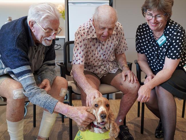 Residents John Anderson and Colin Bell with facility manager Anne Crowley enjoying a visit from Sunni the spaniel at Ozcare Mackay Aged Care Facility. Picture: Heidi Petith