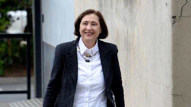 Victorian Minister for Energy and Resources Lily D'Ambrosio. Picture: Andrew Henshaw