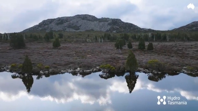 Retrieving Tasmania's Lost Pines