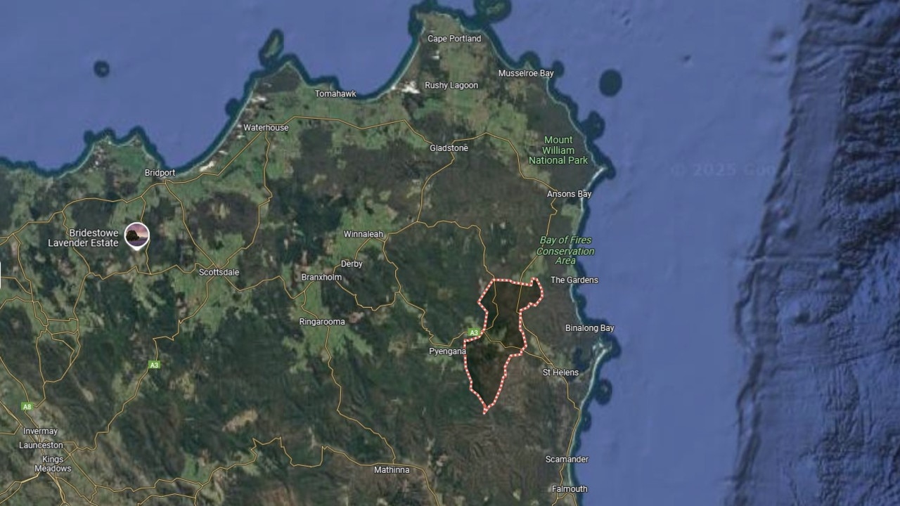 Goshen in northeast Tasmania. Picture: Google Maps