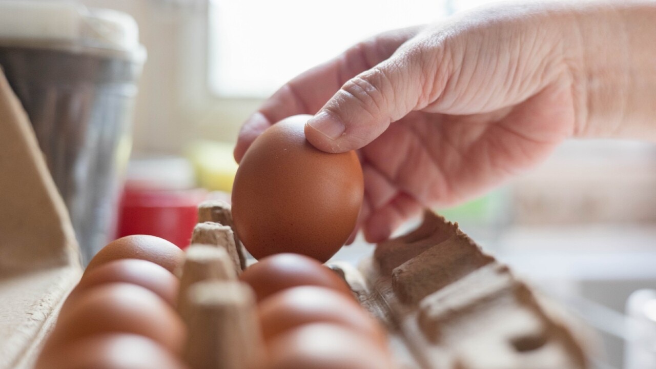 Banning of caged eggs could lead to soaring prices