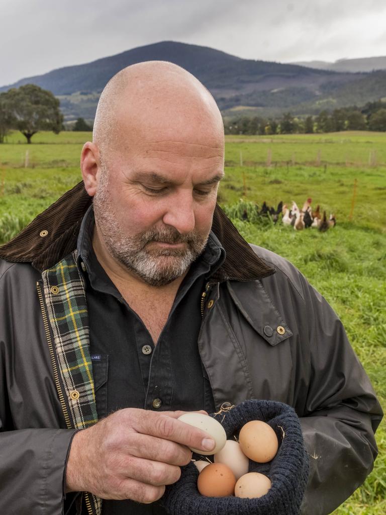 Nick also raises 100 chooks for eggs and 35 pigs. Picture: Phillip Biggs