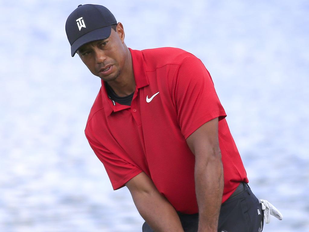 Tiger woods brand clearance logo