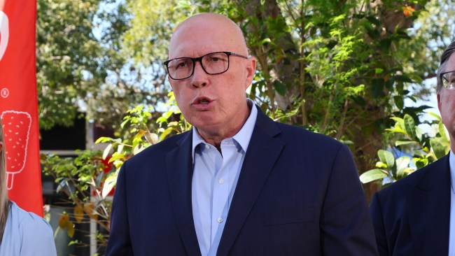 Opposition Leader Peter Dutton hits back at Treasurer Jim Chalmers ...