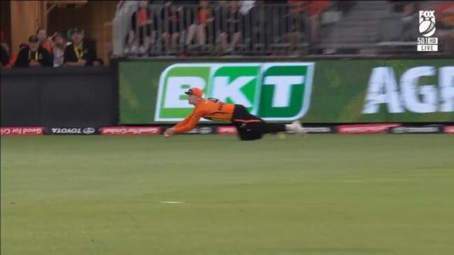 Bancroft snags peach of a catch