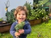 Late toddler’s parents demand NSW govt acquires embattled Sydney hospital