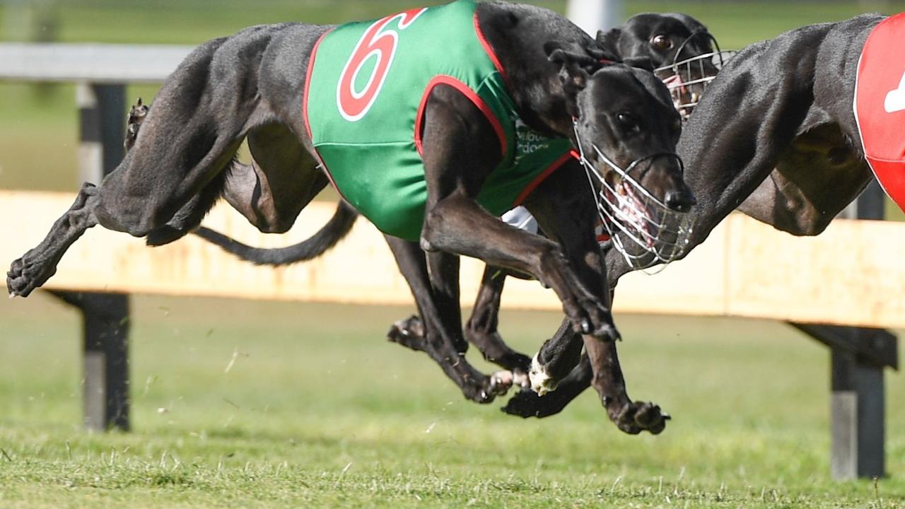 Richmer Assault, 6, is one of the favourites for today’s Bundy Cup.