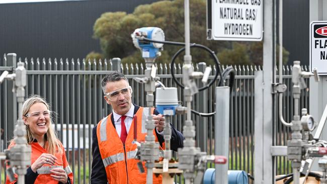 Australian Gas Strategy and Sustainability’s Kristin Raman with Premier Peter Malinauskas at Hydrogen Park SA in the Tonsley Innovation Precinct. Picture: Brenton Edwards