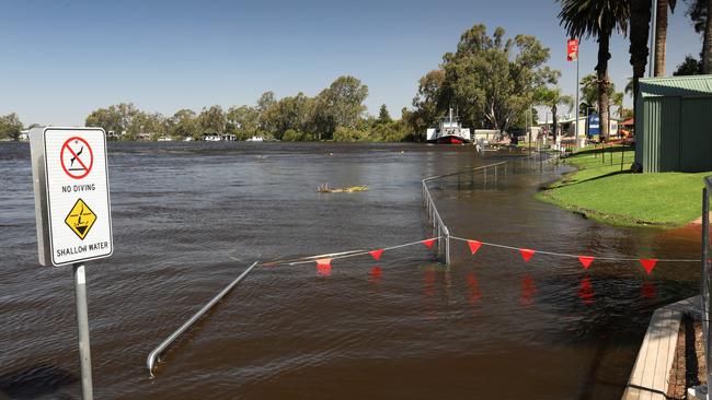 The well-trodden footpath along the river front near the Renmark Club is now under water. Picture: Dean Martin