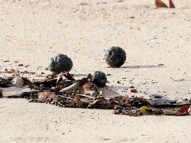 SYDNEY, AUSTRALIA - NewsWire Photos OCTOBER 16, 2024: Suspected tar balls that have washed up on Coogee Beach. Coogee Beach has been closed until further after mysterious, black, ball-shaped debris was located washed along the length of the beach.Picture: NewsWire / Damian Shaw