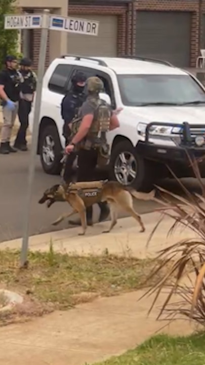 Police dog heroically leaves after taking down a man in Weir Views