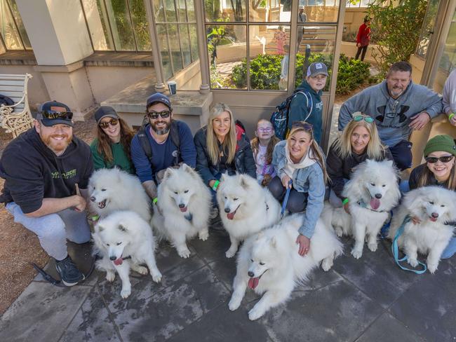 RSPCA SA's Million Paws Walk in Adelaide on May 25, 2025. Picture: Ben Clark