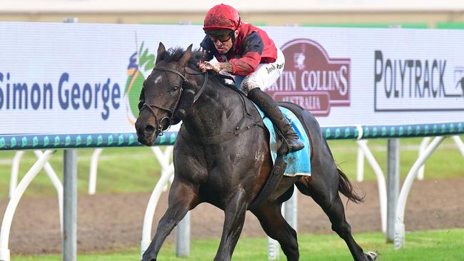 Bosustow wins the Gold Coast Guineas. Picture: Bethany Allday/Trackside Photography.
