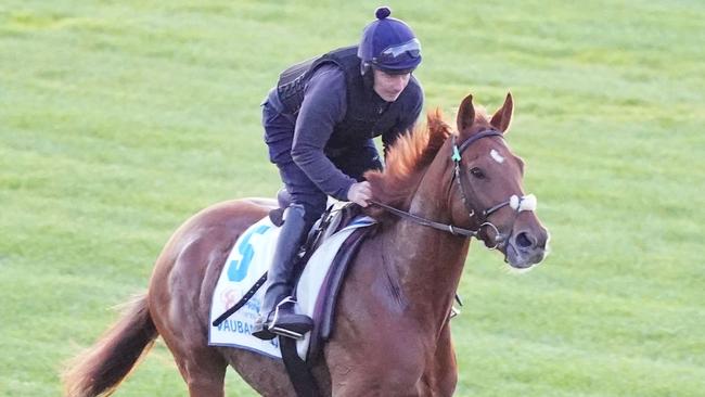 Vauban (FR) is the current favourite. (Photo by Scott Barbour/Racing Photos via Getty Images)