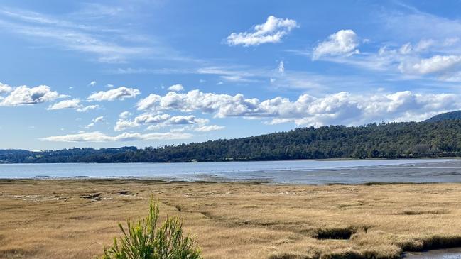 Tasmania's Tamar Valley is "empty" after native swans have been killed in the area. Picture: Twitter@j_d_mclaine