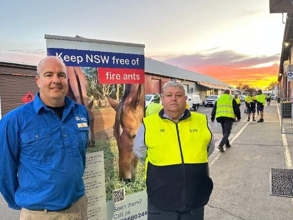 NSW DPI invasive invertebrates program lead Ian Turnbull meets with Tweed Shire Council’s pest management supervisor Brian Falkner at the Murwillumbah Depot ahead of a briefing with field staff.