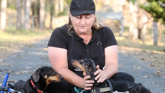 LJ Cameron with dogs Krumm and Cody. Photo by Richard Gosling