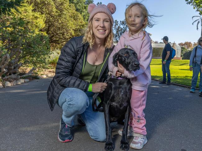 RSPCA SA's Million Paws Walk in Adelaide on May 25, 2025. Picture: Ben Clark