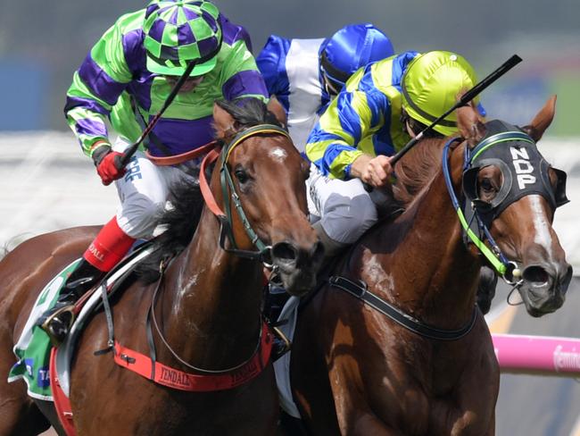 I Am A Star takes out the Kewney Stakes in March. Picture: AAP