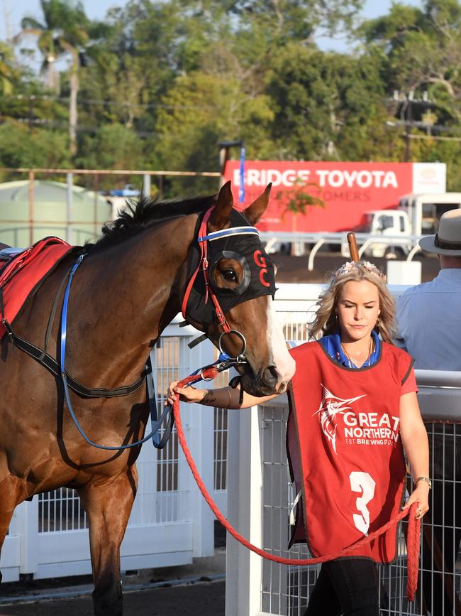 Playoffs enters the ring before winning the Darwin Cup 2022. Picture: (A)manda Parkinson