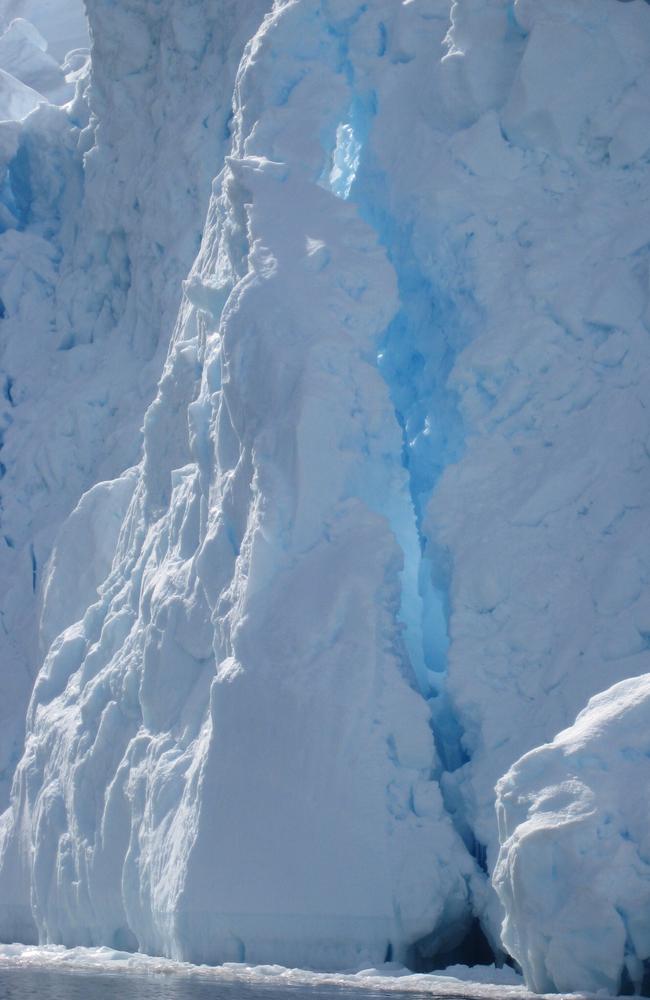 A fracturing ice cliff in Cierva Cove, Antarctica. As ice cliffs get taller, such fractures occur much more frequently. Picture: Louise Evans