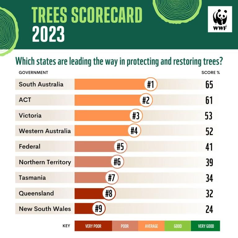 WWF revealed the first national report on state and federal efforts to protect and restore trees. Picture: WWF