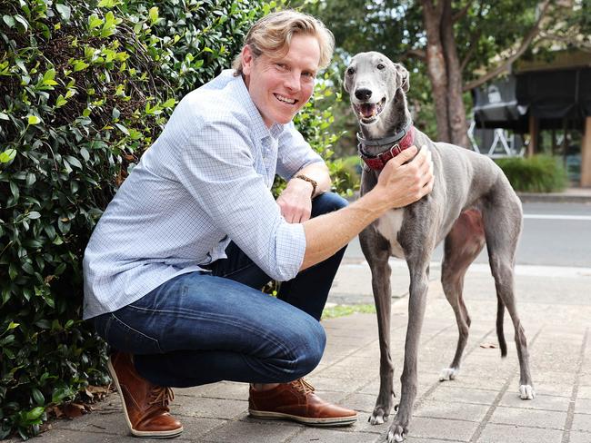 WEEKEND TELEGRAPHS SPECIAL. APRIL 10, 2024. PLEASE CONTACT WEEKEND PIC EDITOR JEFF DARMANIN BEFORE PUBLISHING.Pictured is Bondi Vet Dr Lewis Hunt and greyhound Heidi, who is the new GAP ambassador supporting National Adoption Day. Picture: Tim hunter.