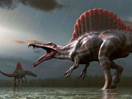 Scientists have found definitive proof that a meteorite caused a mass extinction for the dinosaurs.