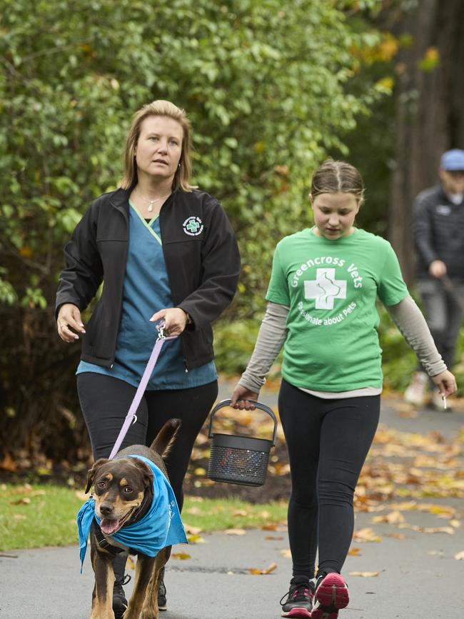 Million Paws Walk at Adelaide Botanic Gardens. Picture: Matt Loxton